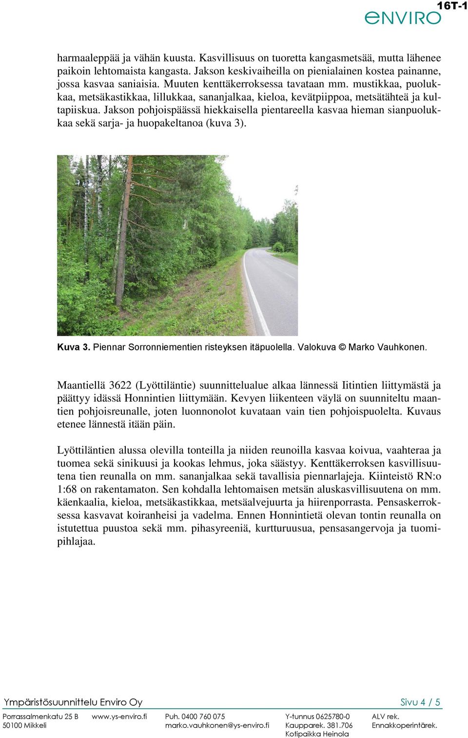 Jakson pohjoispäässä hiekkaisella pientareella kasvaa hieman sianpuolukkaa sekä sarja- ja huopakeltanoa (kuva 3). Kuva 3. Piennar Sorronniementien risteyksen itäpuolella. Valokuva Marko Vauhkonen.