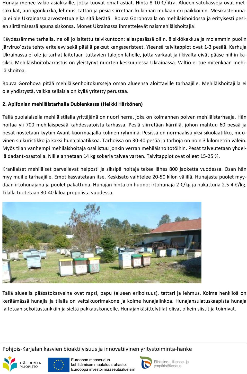 Monet Ukrainassa ihmettelevät naismehiläishoitajia! Käydessämme tarhalla, ne oli jo laitettu talvikuntoon: allaspesässä oli n.