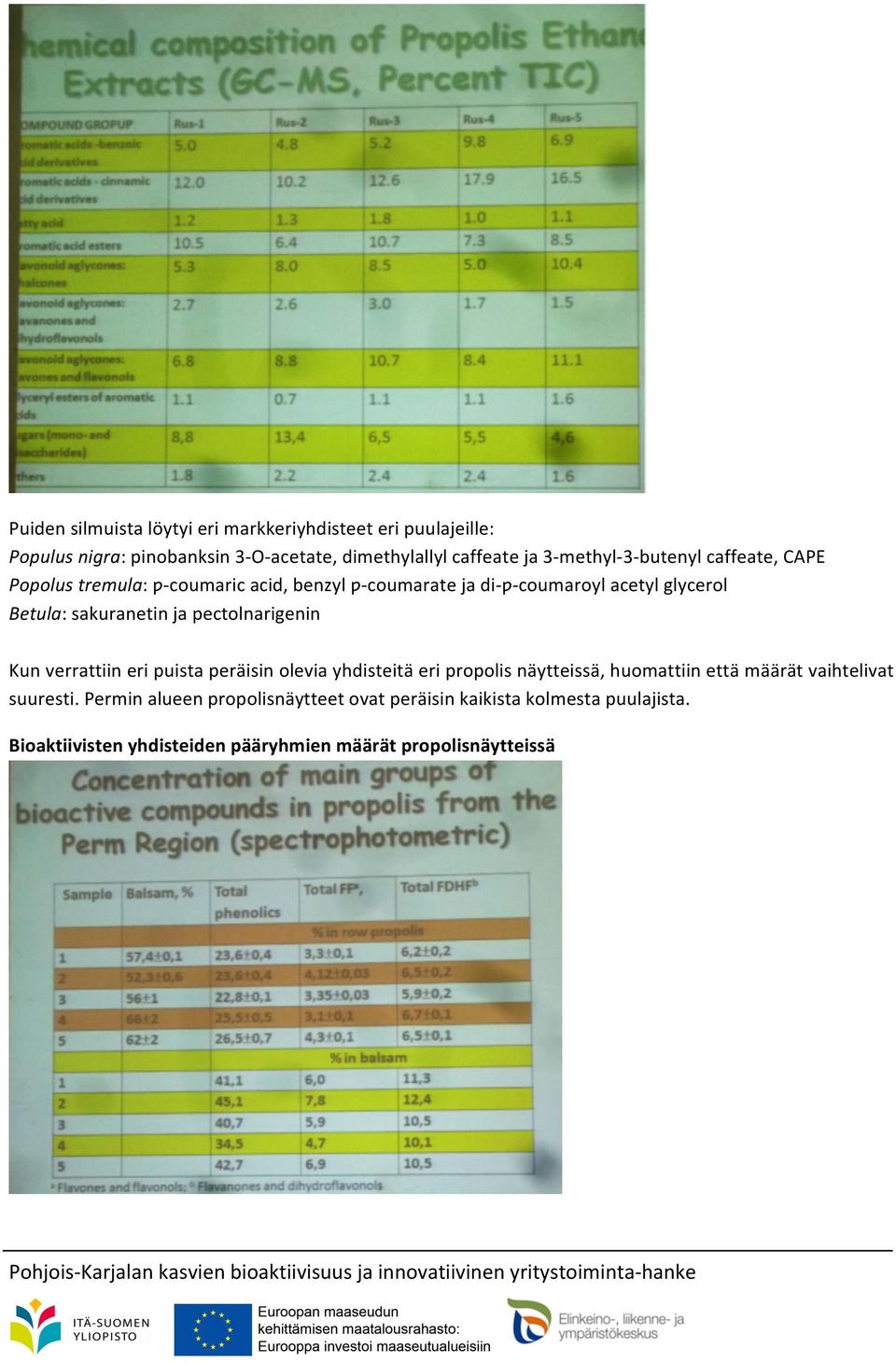 sakuranetin ja pectolnarigenin Kun verrattiin eri puista peräisin olevia yhdisteitä eri propolis näytteissä, huomattiin että määrät