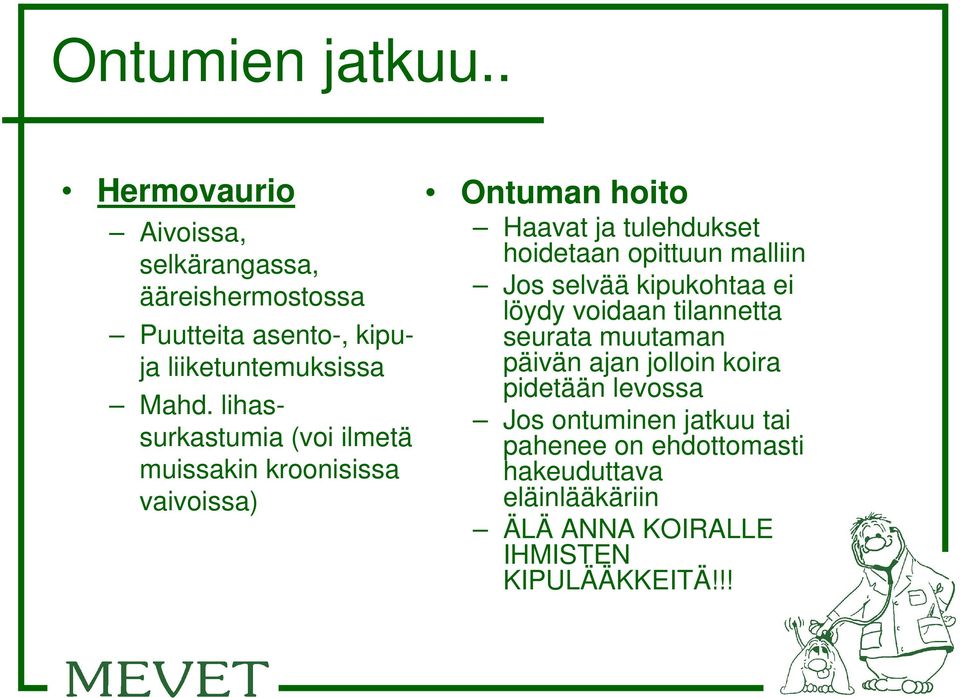 lihassurkastumia (voi ilmetä muissakin kroonisissa vaivoissa) Ontuman hoito Haavat ja tulehdukset hoidetaan opittuun