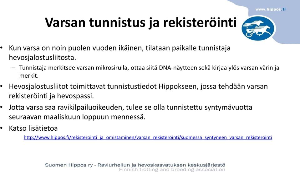 Hevosjalostusliitot toimittavat tunnistustiedot Hippokseen, jossa tehdään varsan rekisteröinti ja hevospassi.