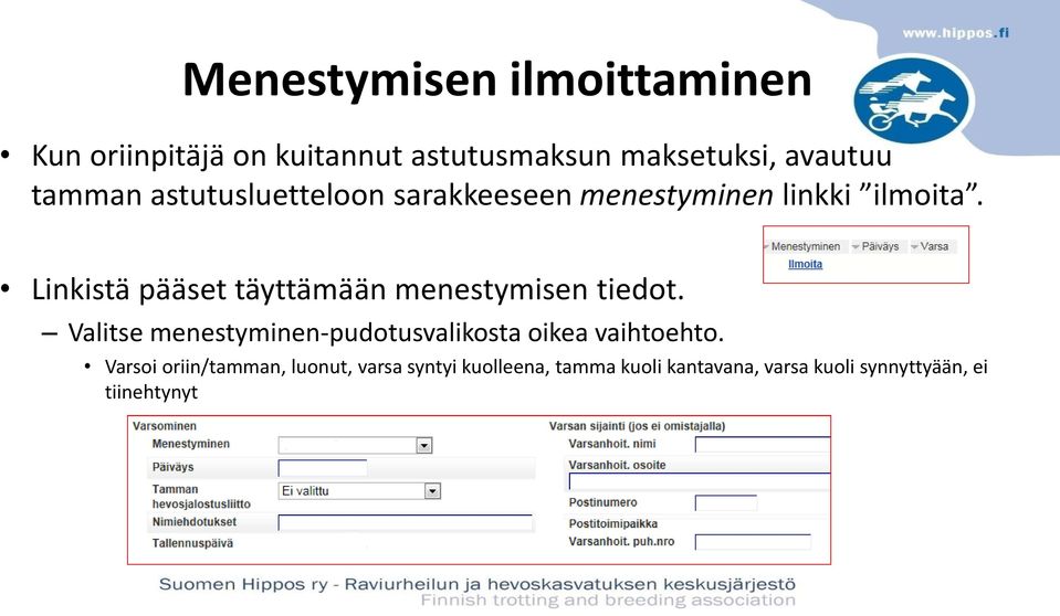 Linkistä pääset täyttämään menestymisen tiedot.