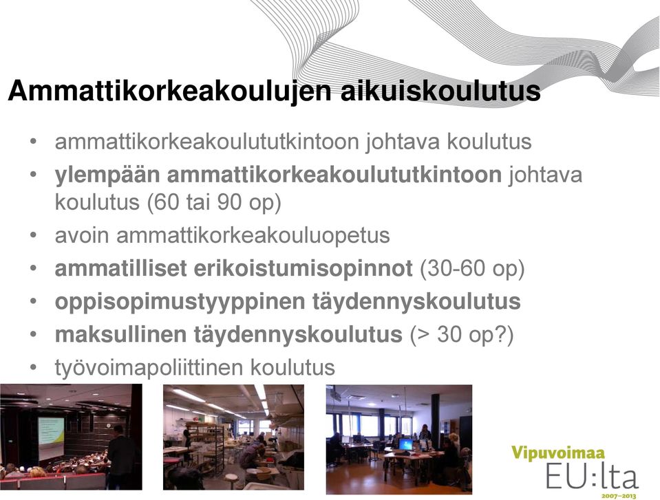 ammattikorkeakouluopetus ammatilliset erikoistumisopinnot (30-60 op)