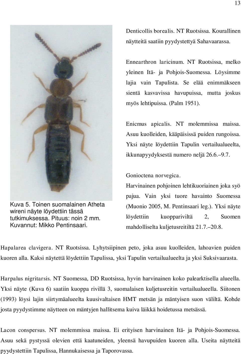 Asuu kuolleiden, kääpäisissä puiden rungoissa. Yksi näyte löydettiin Tapulin vertailualueelta, ikkunapyydyksestä numero neljä 26.6. 9.7. Kuva 5.