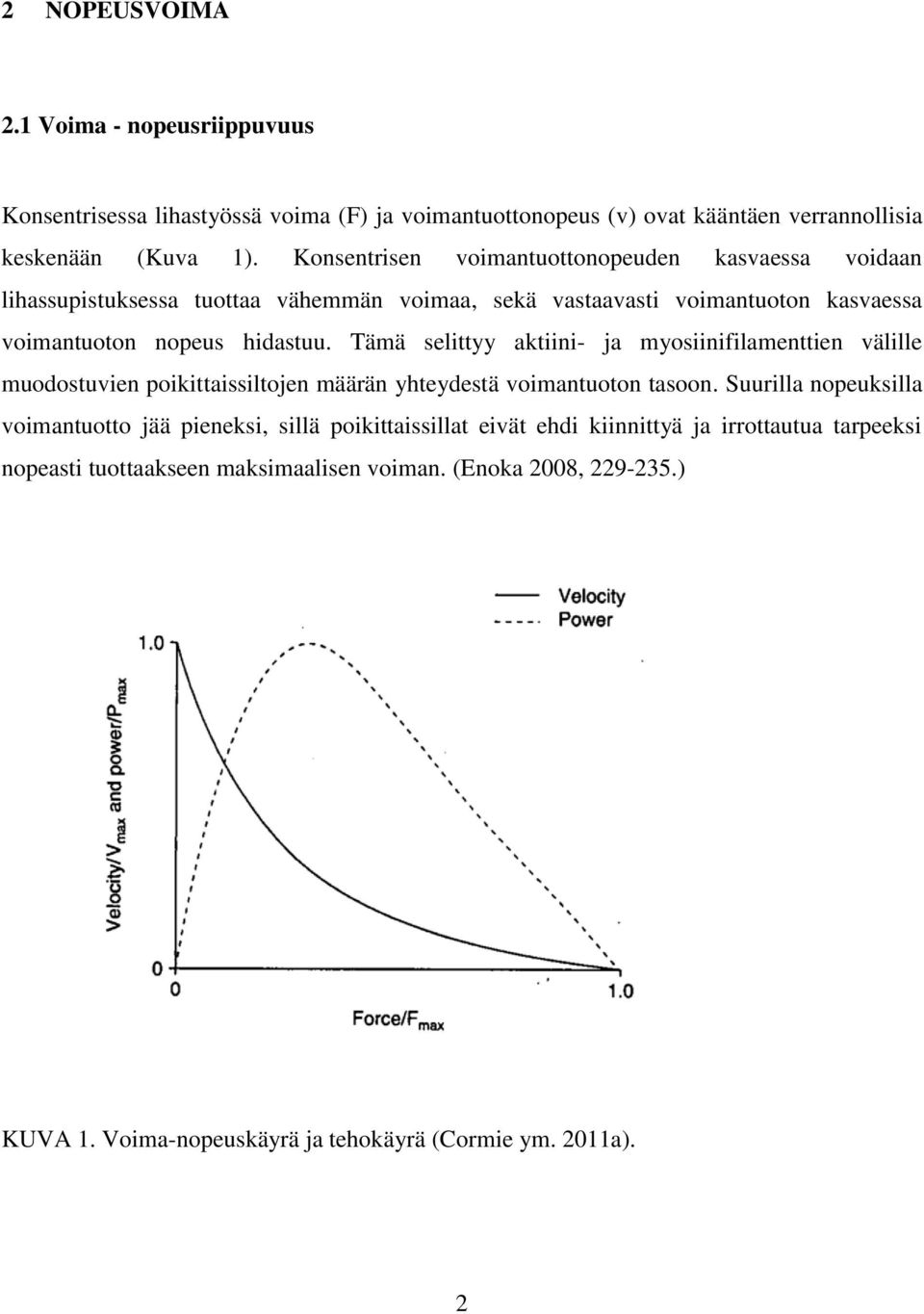 Tämä selittyy aktiini- ja myosiinifilamenttien välille muodostuvien poikittaissiltojen määrän yhteydestä voimantuoton tasoon.