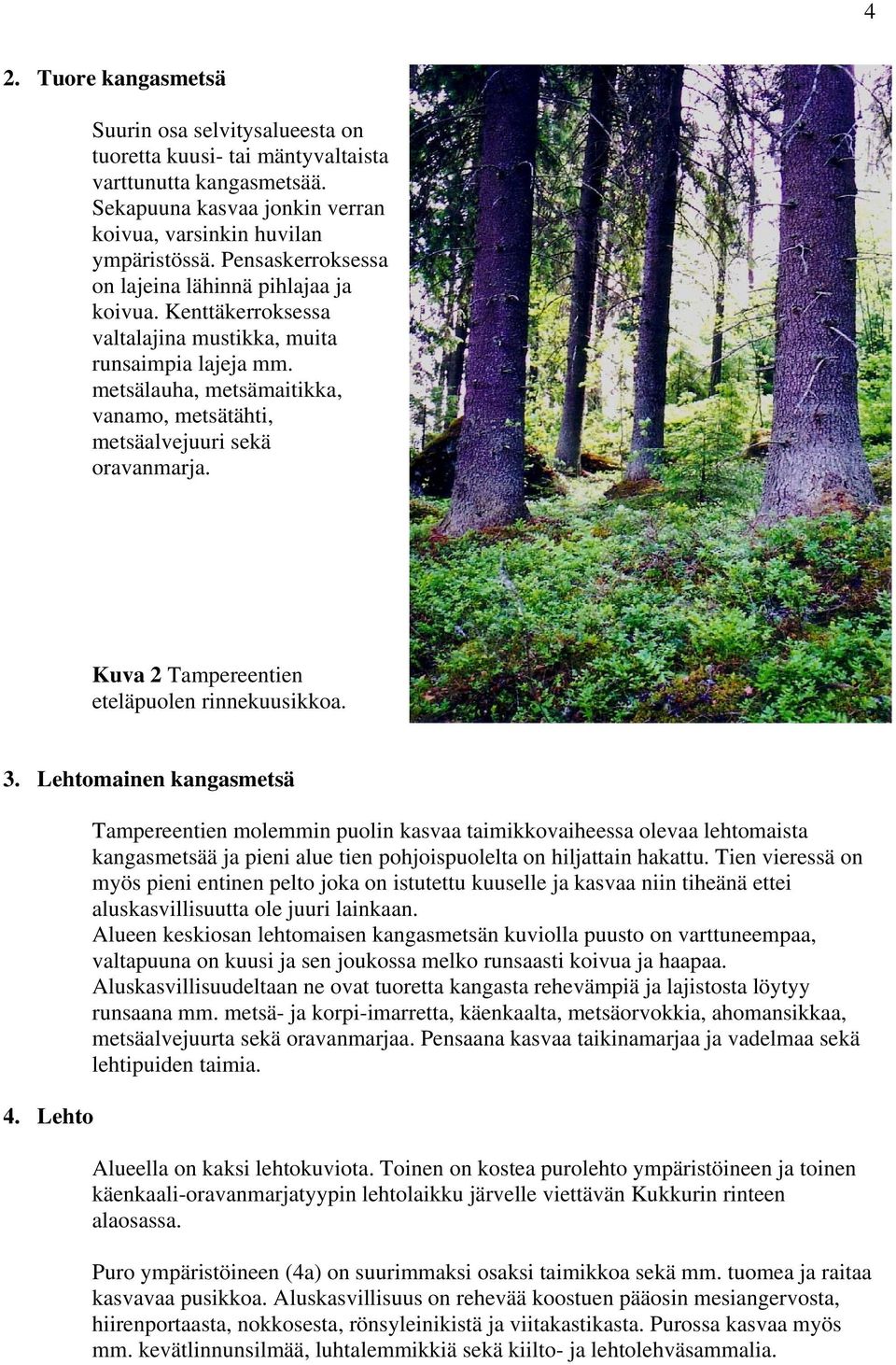 metsälauha, metsämaitikka, vanamo, metsätähti, metsäalvejuuri sekä oravanmarja. Kuva 2 Tampereentien eteläpuolen rinnekuusikkoa. 3. Lehtomainen kangasmetsä 4.