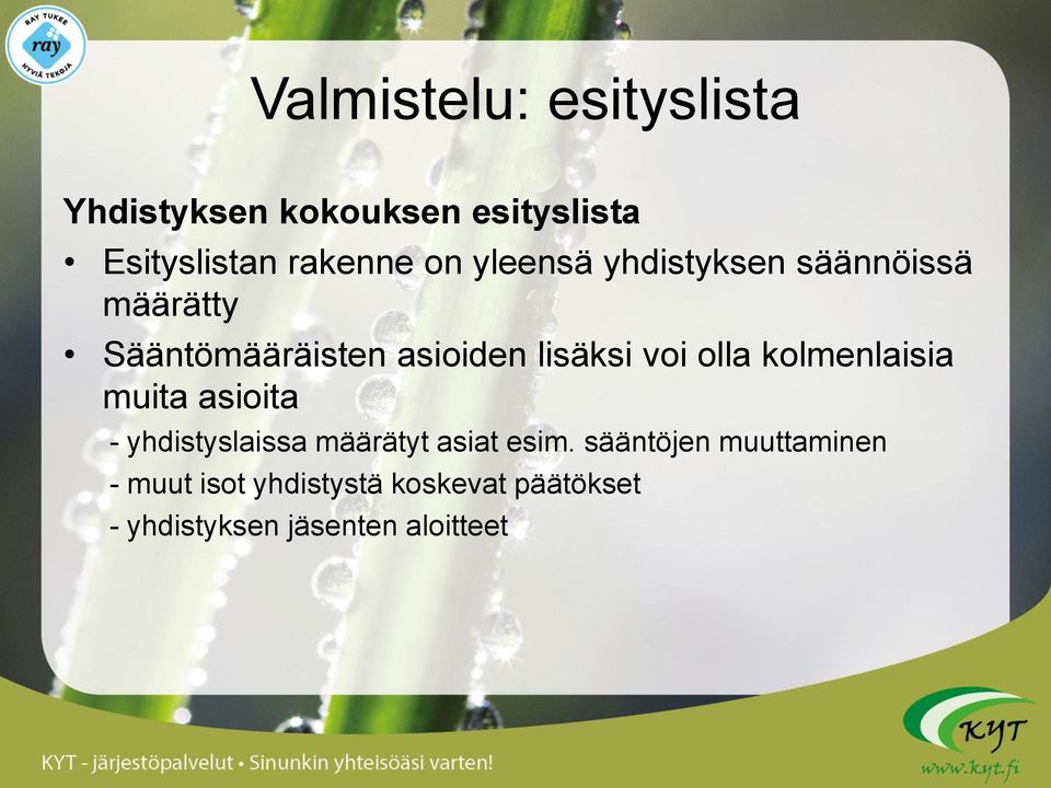 olla kolmenlaisia muita asioita - yhdistyslaissa määrätyt asiat esim.