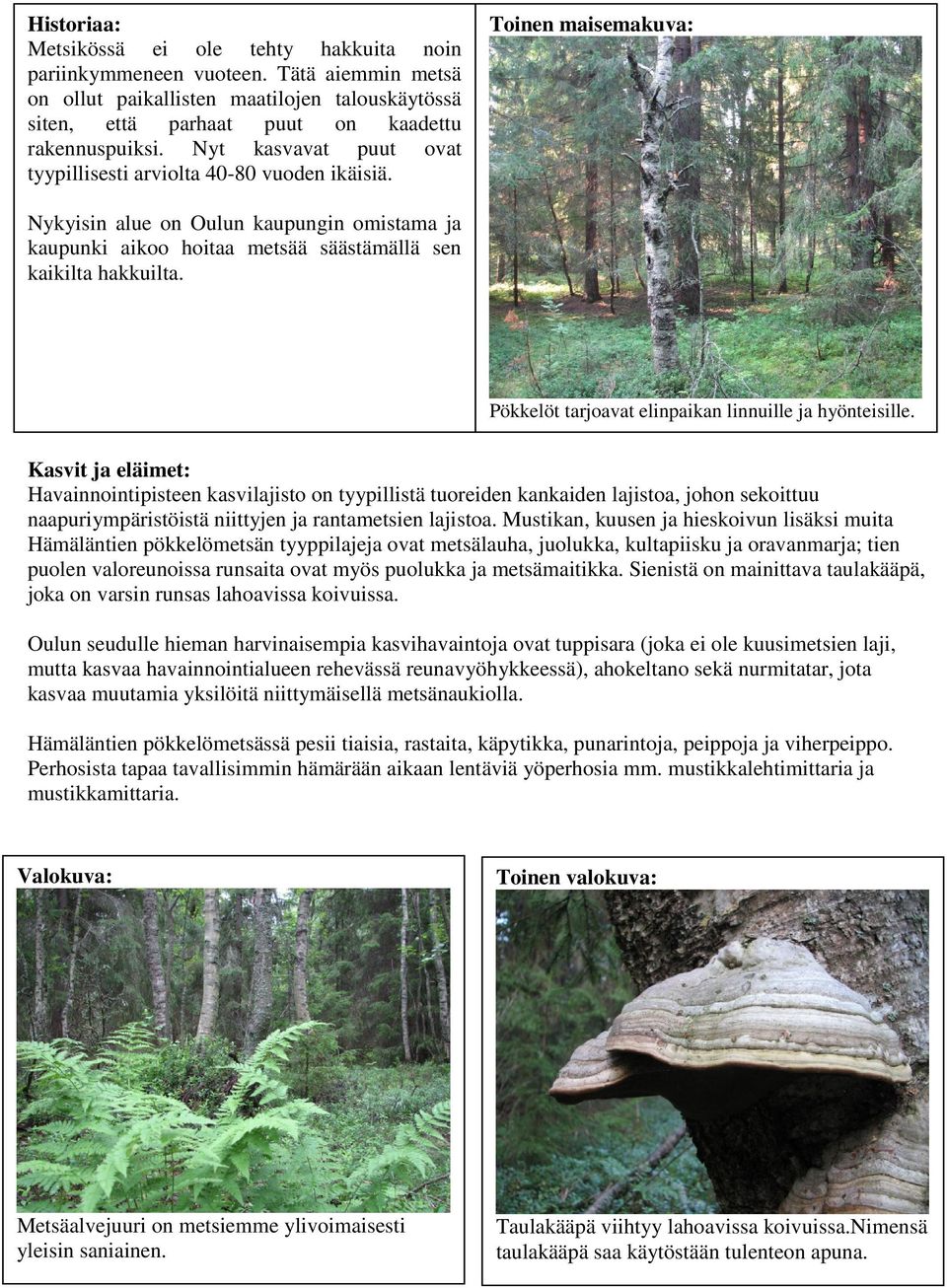 Pökkelöt tarjoavat elinpaikan linnuille ja hyönteisille.