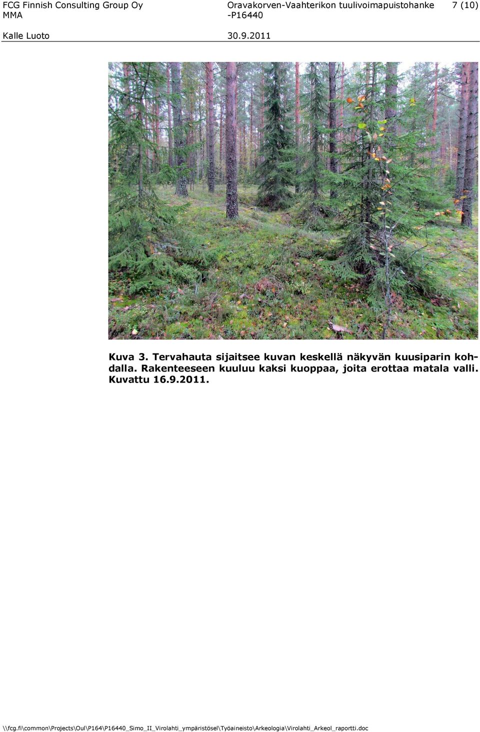 Tervahauta sijaitsee kuvan keskellä näkyvän kuusiparin