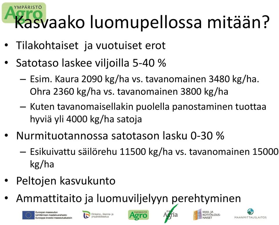 tavanomainen 3800 kg/ha Kuten tavanomaisellakin puolella panostaminen tuottaa hyviä yli 4000 kg/ha satoja