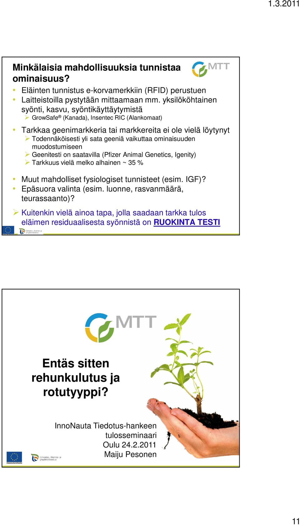 ominaisuuden muodostumiseen Geenitesti on saatavilla (Pfizer Animal Genetics, Igenity) Tarkkuus vielä melko alhainen ~ 35 % Muut mahdolliset fysiologiset tunnisteet (esim. IGF)?