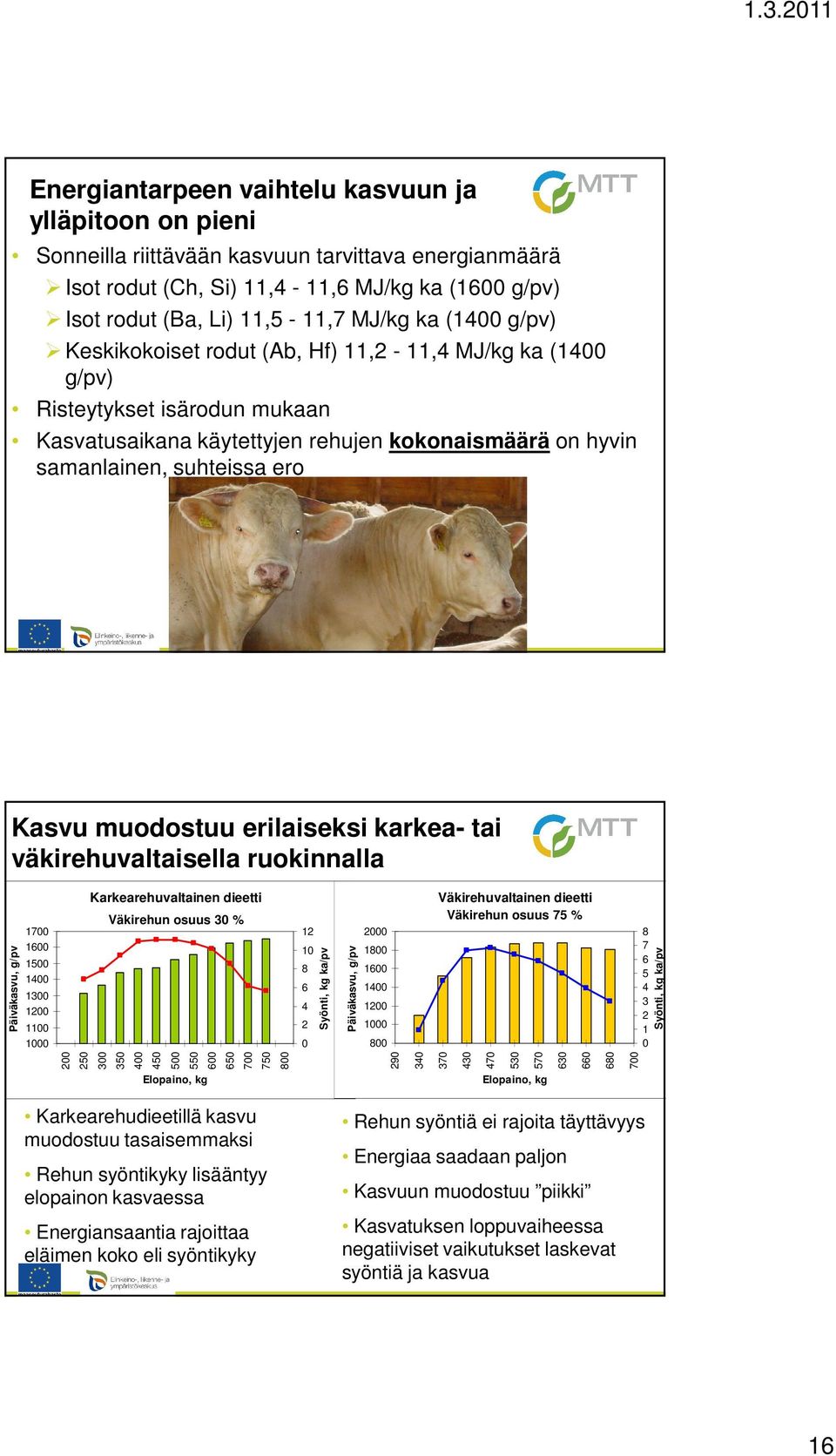 muodostuu erilaiseksi karkea- tai väkirehuvaltaisella ruokinnalla Päiväkasvu, g/pv 1700 1600 1500 1400 1300 1200 1100 1000 200 250 Karkearehuvaltainen dieetti Väkirehuvaltainen dieetti Väkirehun