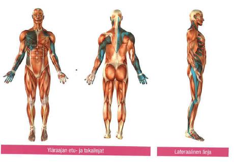 Myofaskiaaliset