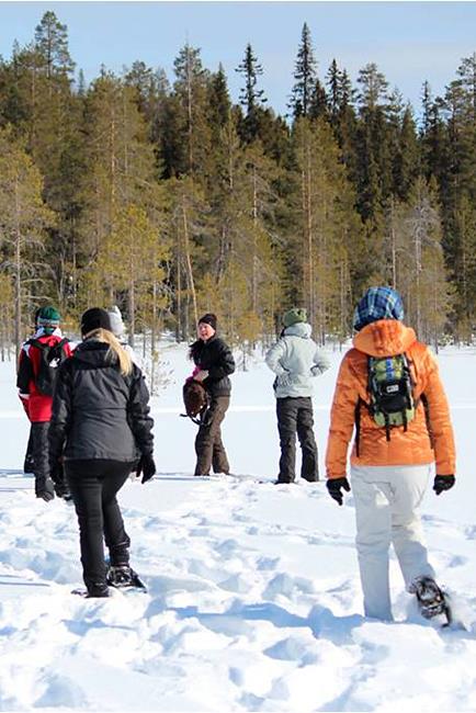 Vuorovaikutus erilaisten ryhmien välillä helpottuu Tunne