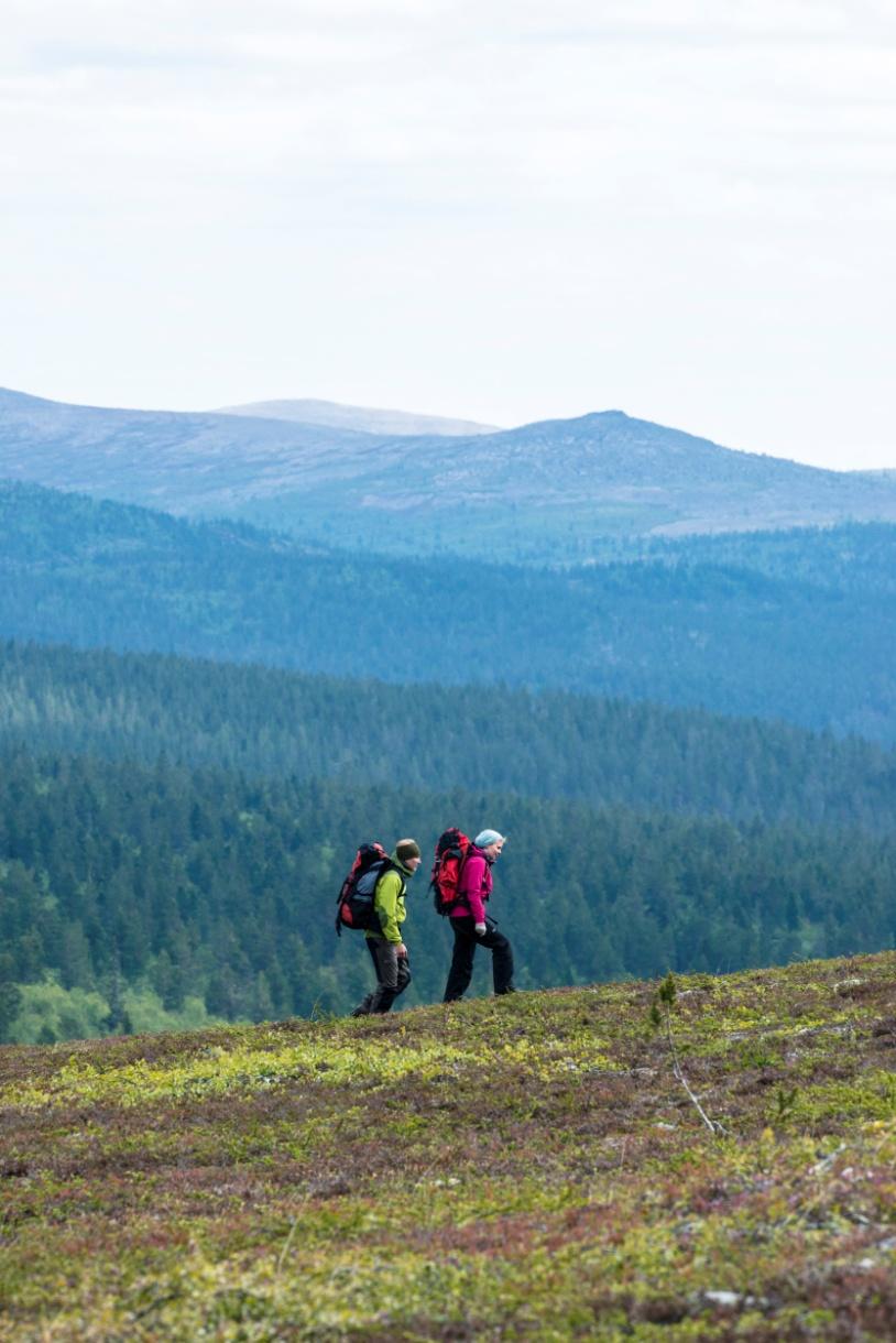 Kuvittele uusi lääke, joka pitäisi sinut aktiivisempana ja terveempänä vähentäisi riskiä sairastua syöpään,