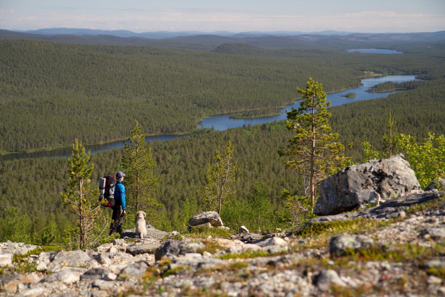 Kuva: Erkki Ollila Retket kansallispuistoon ja luonnossa liikkuminen