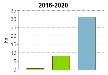 UPM Metsäsuunnitelma Tulostettu 20.6.