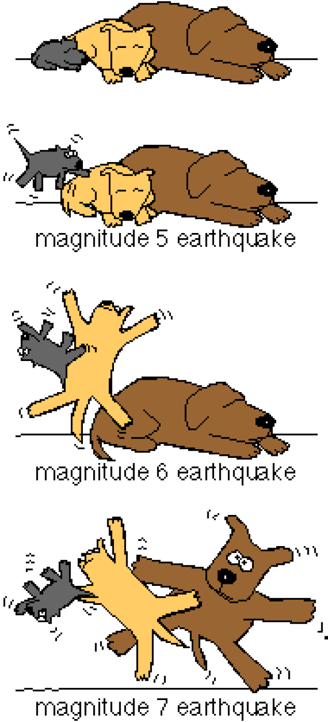Maanjäristyksistä http://tremor.nmt.edu/how.