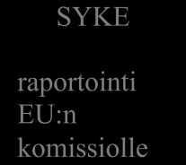 Tulvaryhmä ja sen tehtävät Hallintasuunnitelmien valmistelussa tarvittavaa viranomaisyhteistyötä varten maa- ja metsätalousministeriö asetti 22.12.