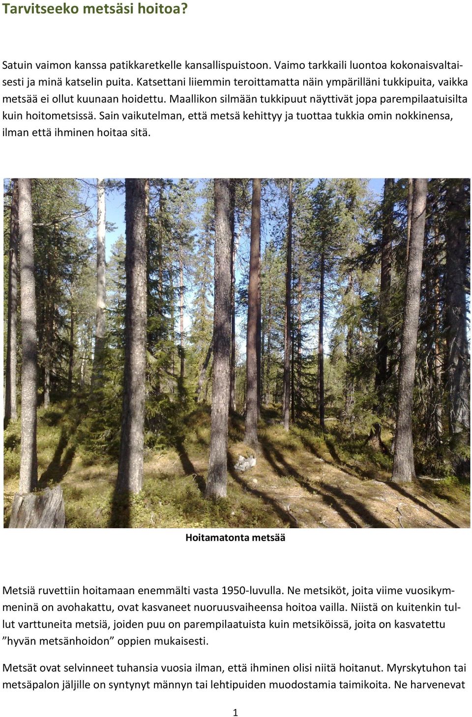 Sain vaikutelman, että metsä kehittyy ja tuottaa tukkia omin nokkinensa, ilman että ihminen hoitaa sitä. Hoitamatonta metsää Metsiä ruvettiin hoitamaan enemmälti vasta 1950-luvulla.