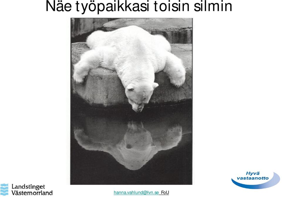 toisin silmin
