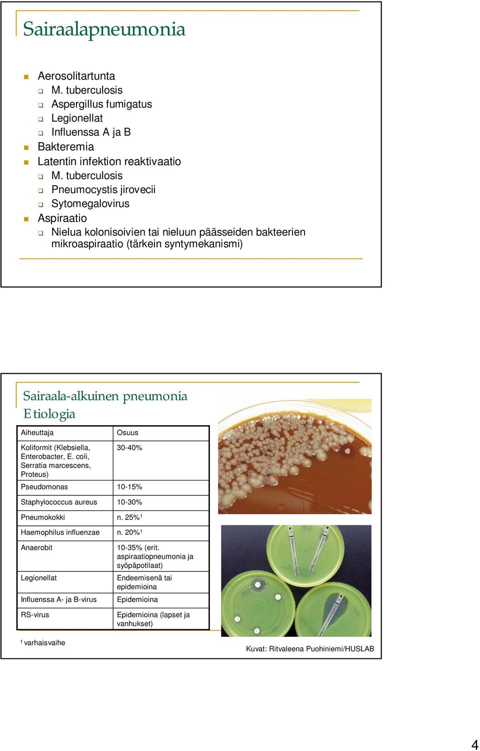 Etiologia Aiheuttaja Koliformit (Klebsiella, Enterobacter, E.