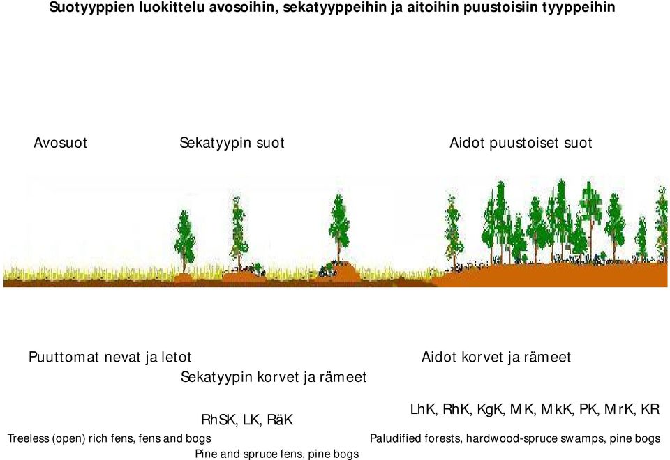 RhSK, LK, RäK Treeless (open) rich fens, fens and bogs Pine and spruce fens, pine bogs Aidot