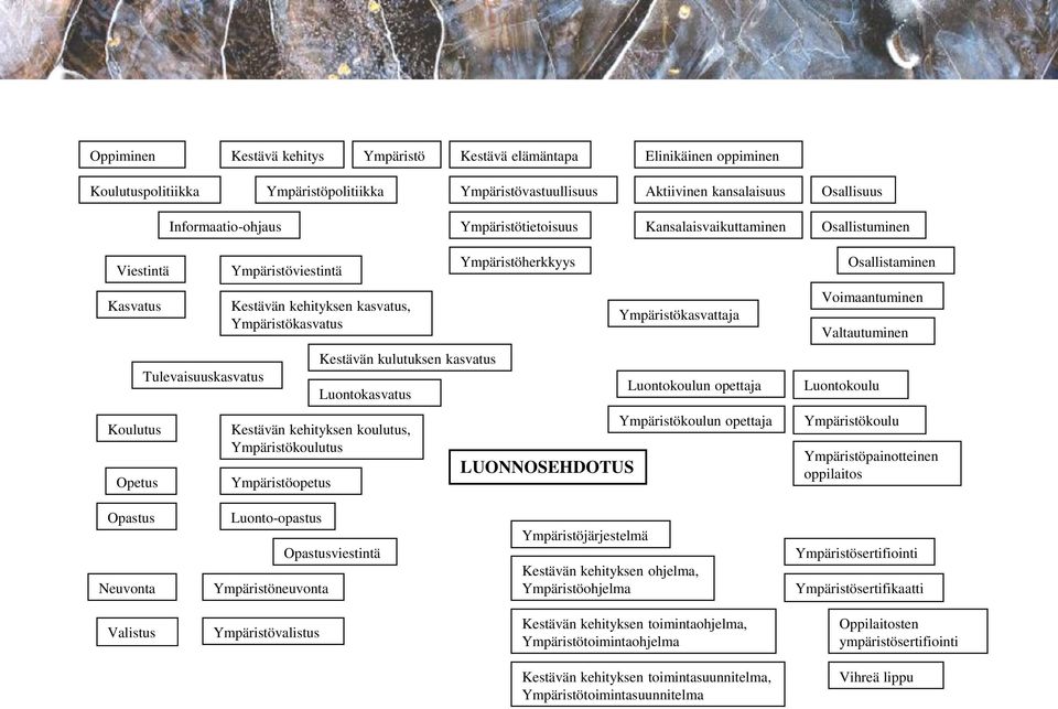 kasvatus Luontokasvatus Kestävän kehityksen koulutus, Ympäristökoulutus Ympäristöopetus Ympäristöherkkyys LUONNOSEHDOTUS Ympäristökasvattaja Luontokoulun opettaja Ympäristökoulun opettaja