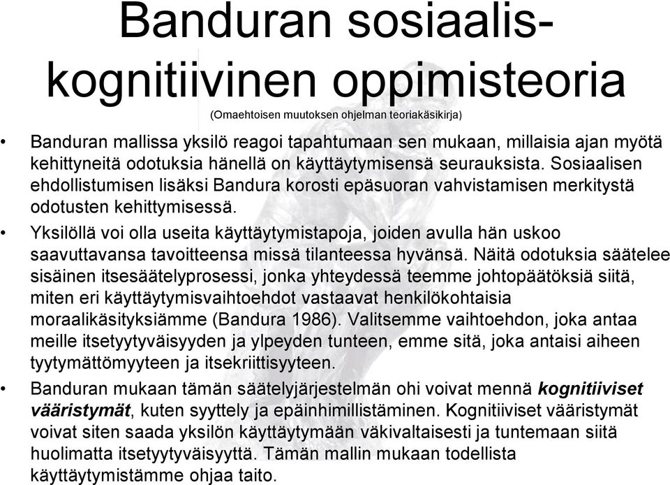 Yksilöllä voi olla useita käyttäytymistapoja, joiden avulla hän uskoo saavuttavansa tavoitteensa missä tilanteessa hyvänsä.