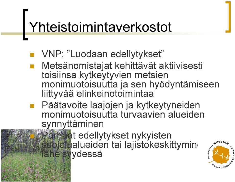 elinkeinotoimintaa Päätavoite laajojen ja kytkeytyneiden monimuotoisuutta turvaavien