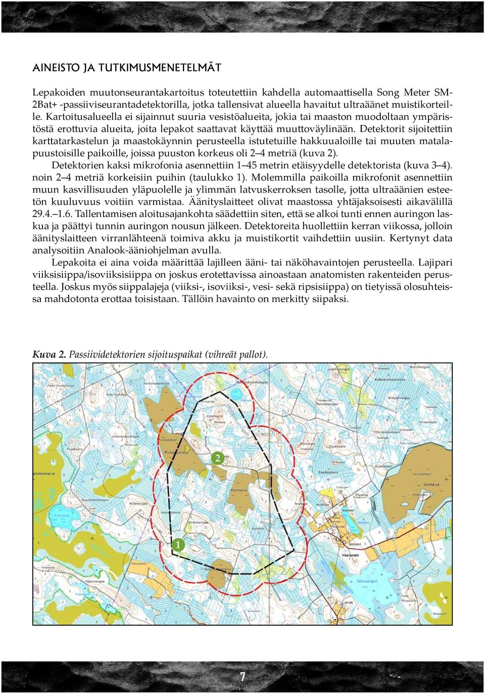 Detektorit sijoitettiin karttatarkastelun ja maastokäynnin perusteella istutetuille hakkuualoille tai muuten matalapuustoisille paikoille, joissa puuston korkeus oli 2 4 metriä (kuva 2).