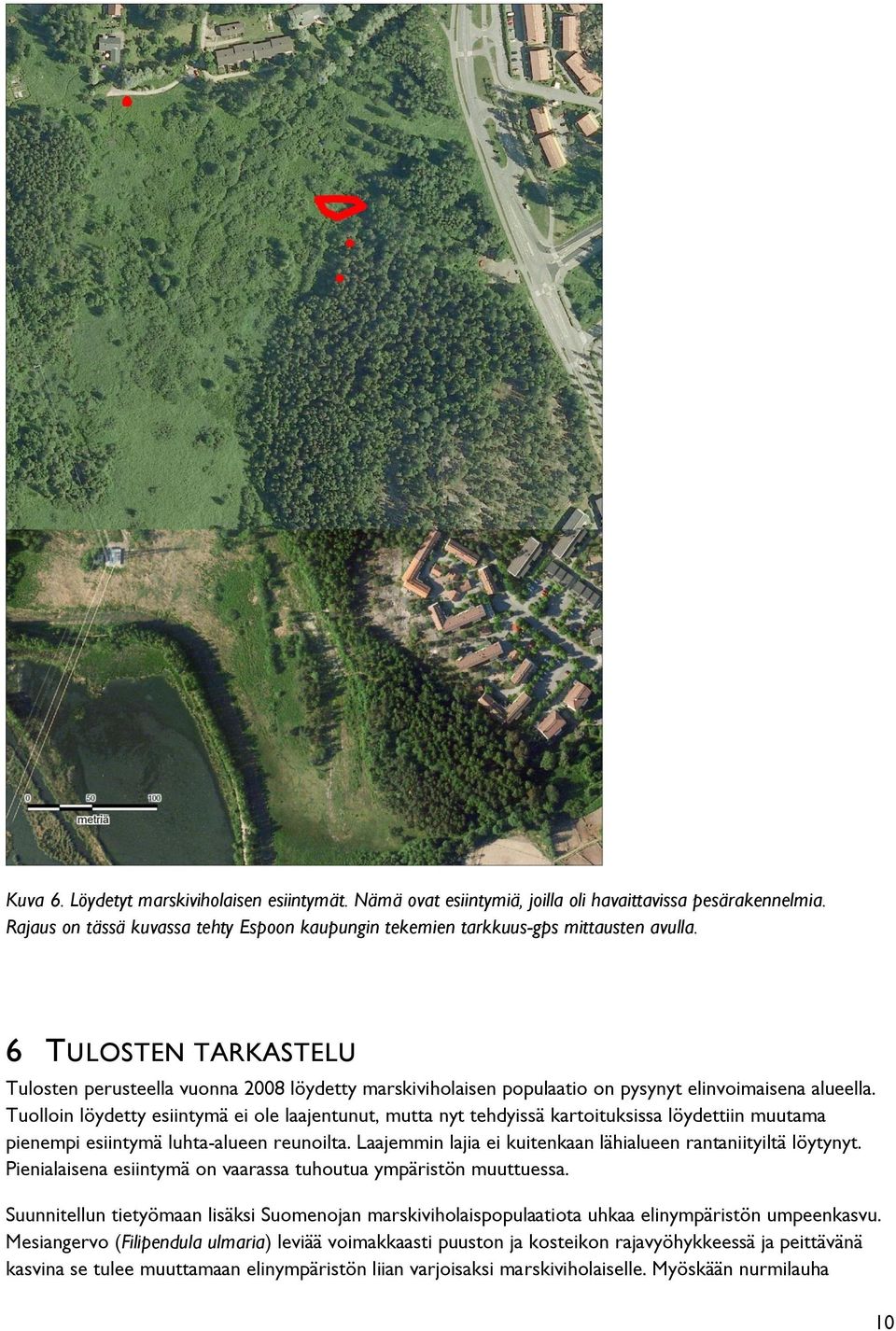 Tuolloin löydetty esiintymä ei ole laajentunut, mutta nyt tehdyissä kartoituksissa löydettiin muutama pienempi esiintymä luhta-alueen reunoilta.