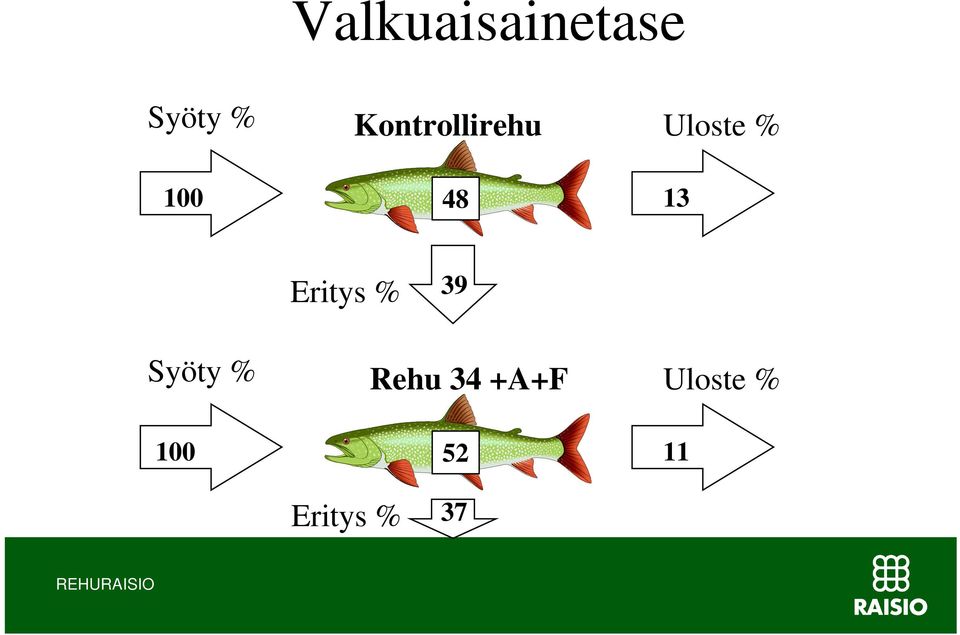 Eritys % 39 Syöty % 100 Rehu