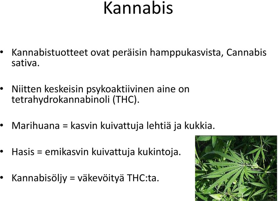 Niitten keskeisin psykoaktiivinen aine on tetrahydrokannabinoli