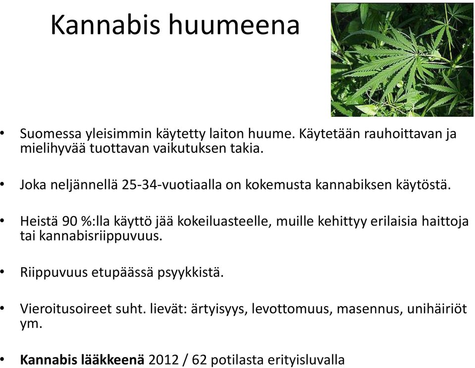 Joka neljännellä 25-34-vuotiaalla on kokemusta kannabiksen käytöstä.
