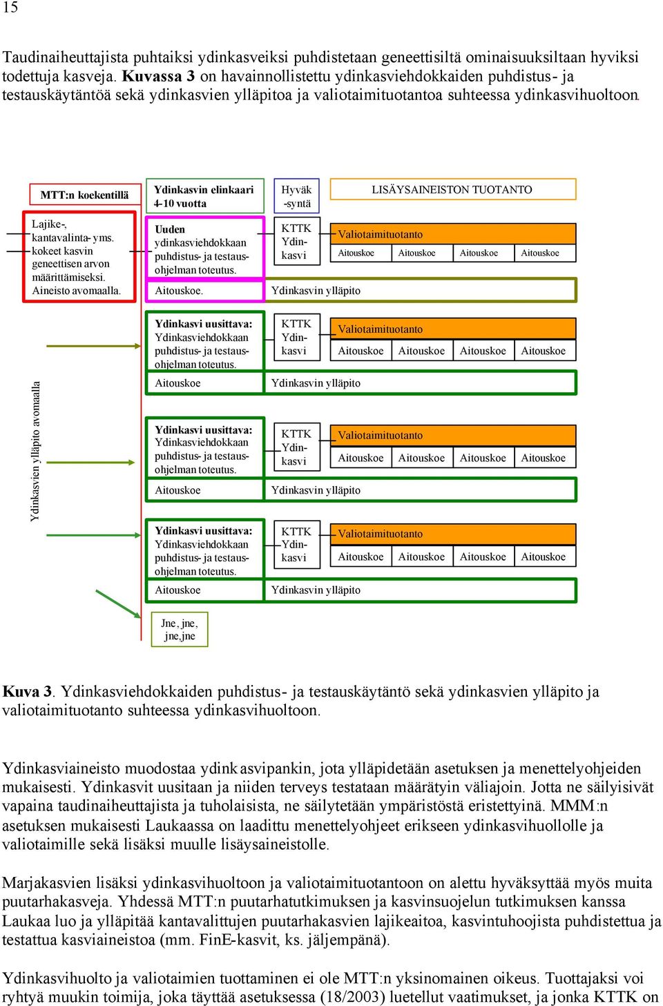 MTT:n koekentillä Lajike-, kantavalinta- yms. kokeet kasvin geneettisen arvon määrittämiseksi. Aineisto avomaalla.