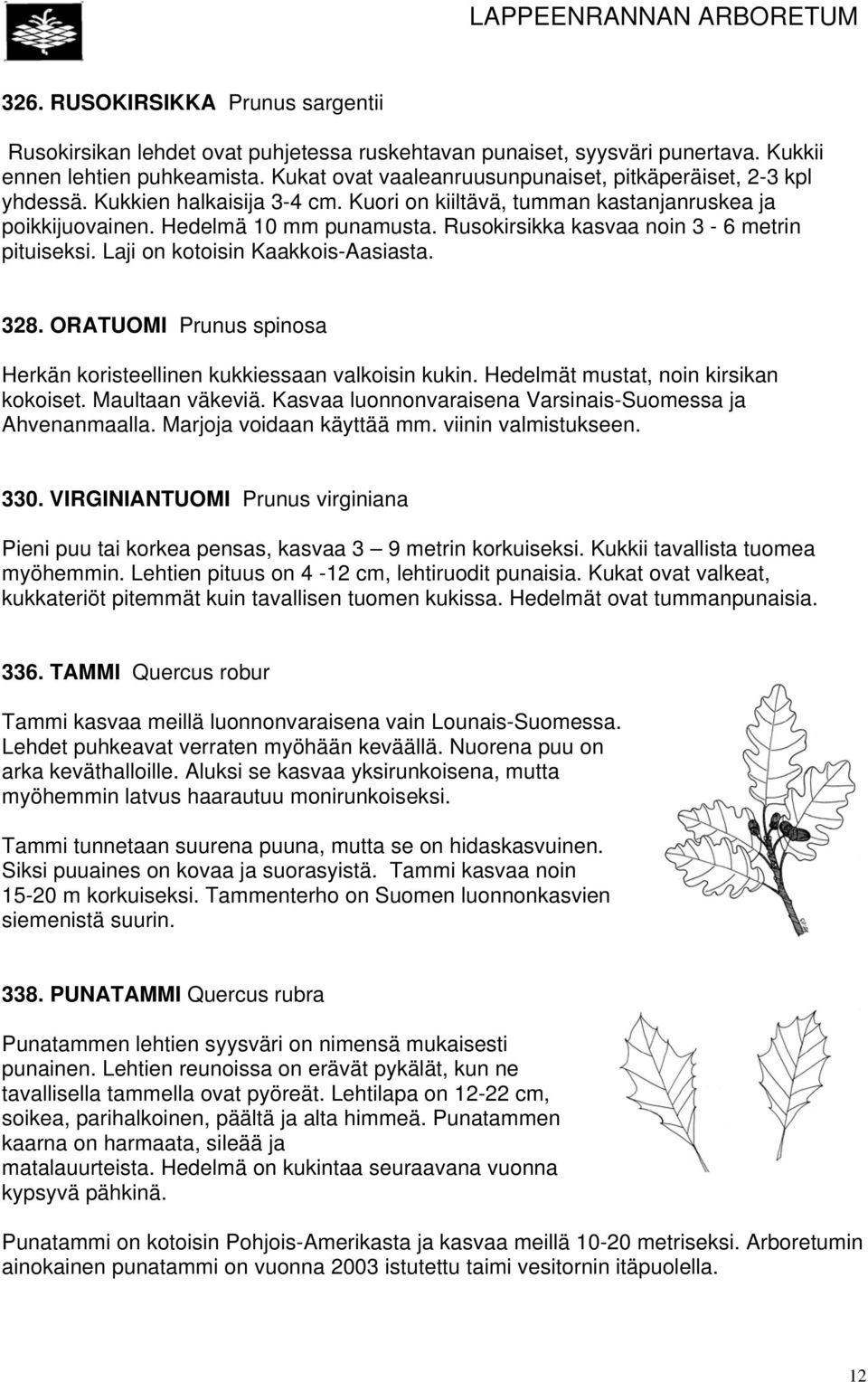 Rusokirsikka kasvaa noin 3-6 metrin pituiseksi. Laji on kotoisin Kaakkois-Aasiasta. 328. ORATUOMI Prunus spinosa Herkän koristeellinen kukkiessaan valkoisin kukin.