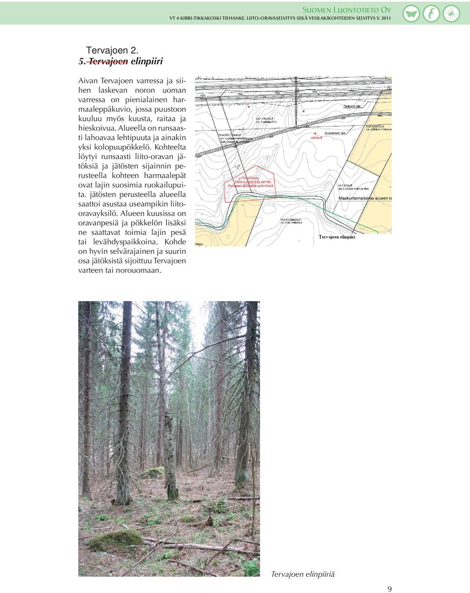 Alueella on runsaasti lahoavaa lehtipuuta ja ainakin yksi kolopuupökkelö.