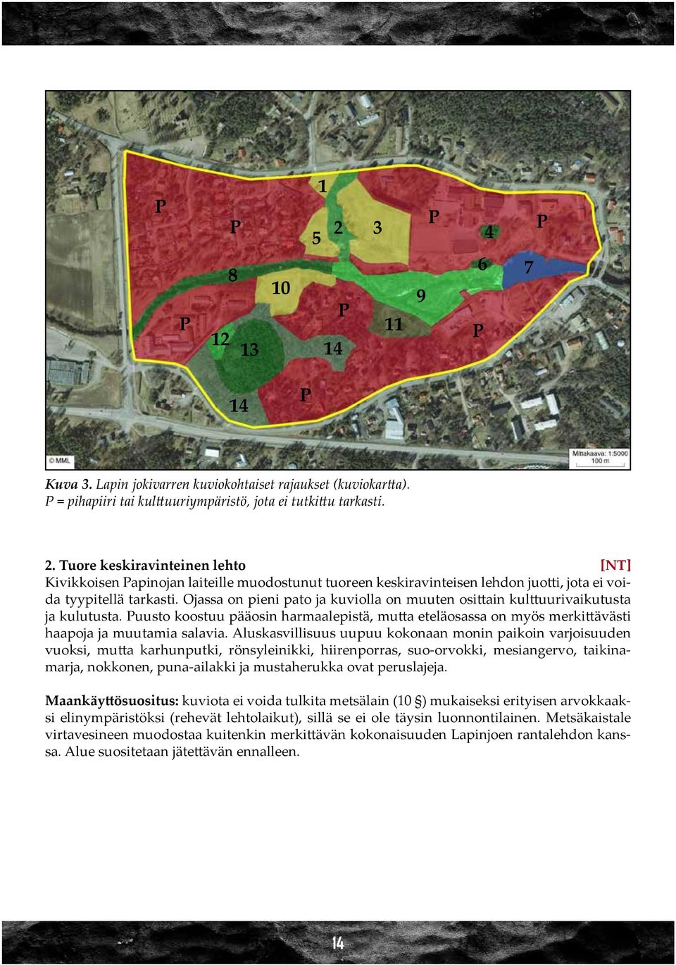 Aluskasvillisuus uupuu kokonaan monin paikoin varjoisuuden vuoksi, mutta karhunputki, rönsyleinikki, hiirenporras, suo-orvokki, mesiangervo, taikinamarja, nokkonen, puna-ailakki ja mustaherukka ovat