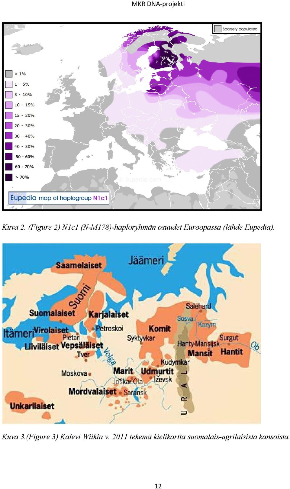 osuudet Euroopassa (lähde Eupedia). Kuva 3.