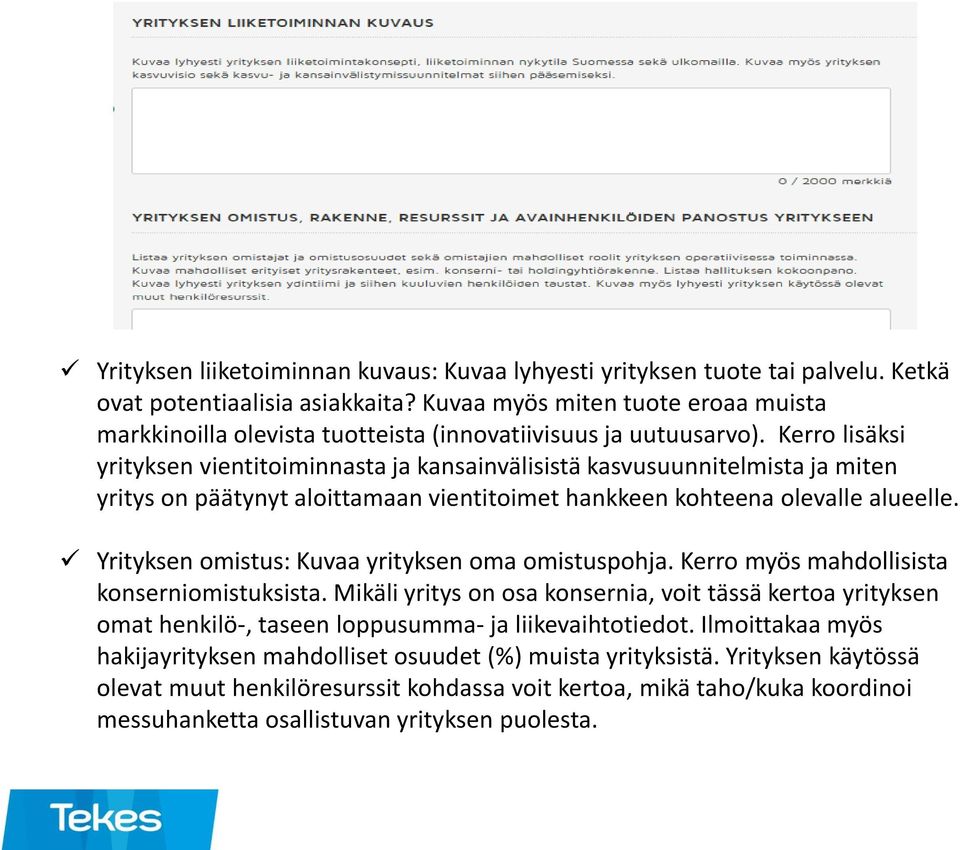 Kerro lisäksi yrityksen vientitoiminnasta ja kansainvälisistä kasvusuunnitelmista ja miten yritys on päätynyt aloittamaan vientitoimet hankkeen kohteena olevalle alueelle.