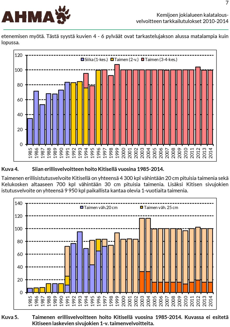 Taimenen erillisistutusvelvoite Kitisellä on yhteensä 4 3 kpl vähintään 2 cm pituisia taimenia sekä Kelukosken altaaseen 7 kpl vähintään 3 cm pituisia taimenia.