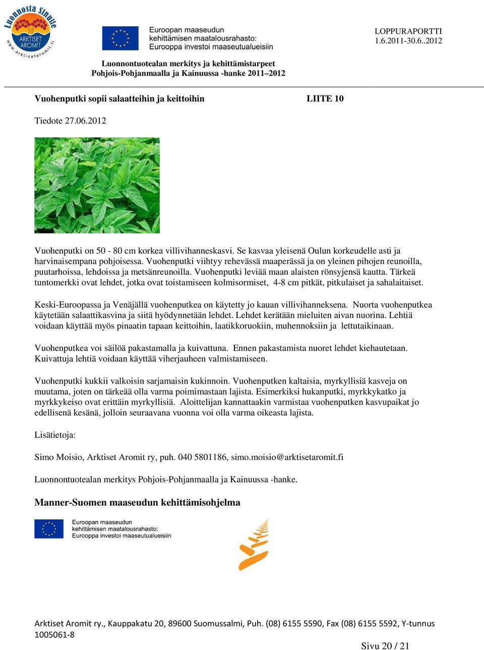 Tärkeä tuntomerkki ovat lehdet, jotka ovat toistamiseen kolmisormiset, 4-8 cm pitkät, pitkulaiset ja sahalaitaiset. Keski-Euroopassa ja Venäjällä vuohenputkea on käytetty jo kauan villivihanneksena.