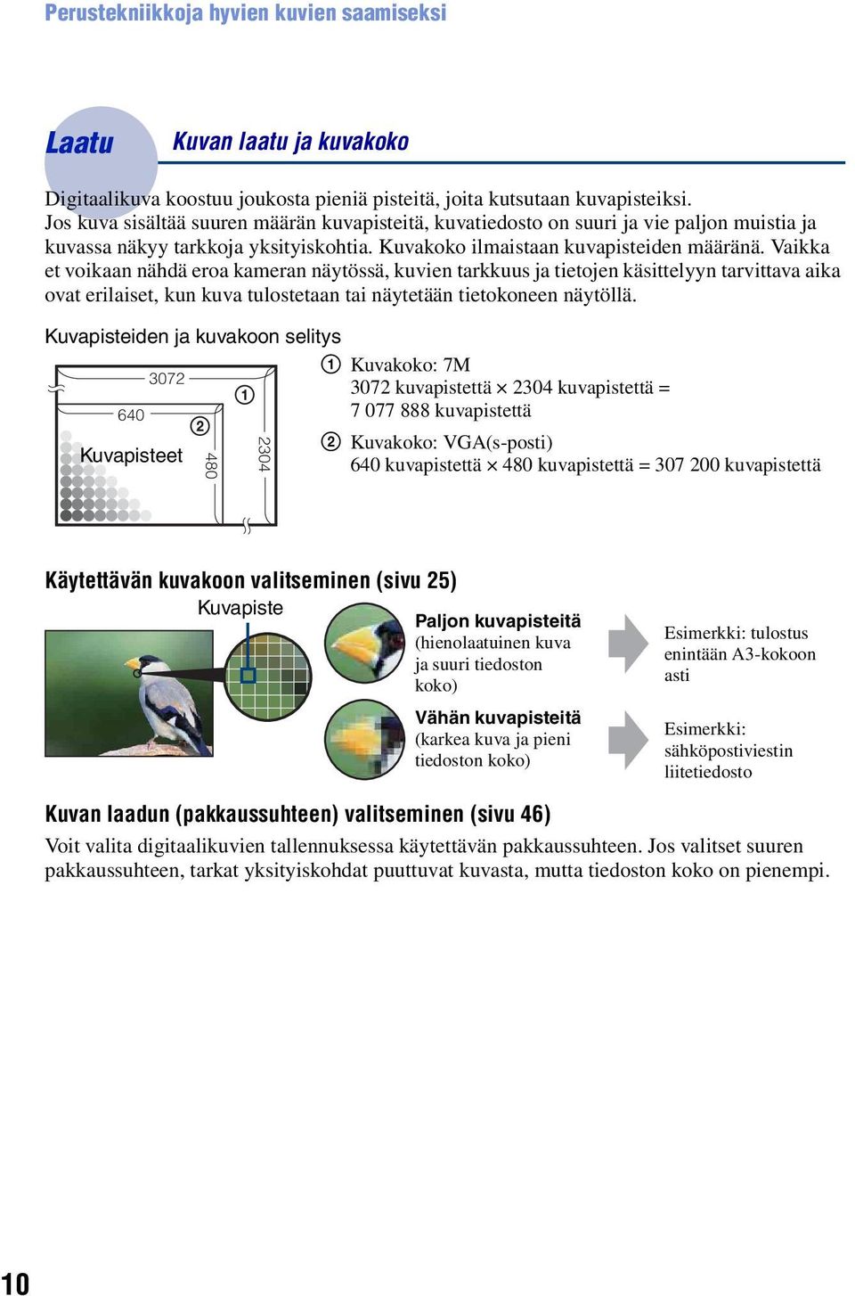 Vaikka et voikaan nähdä eroa kameran näytössä, kuvien tarkkuus ja tietojen käsittelyyn tarvittava aika ovat erilaiset, kun kuva tulostetaan tai näytetään tietokoneen näytöllä.