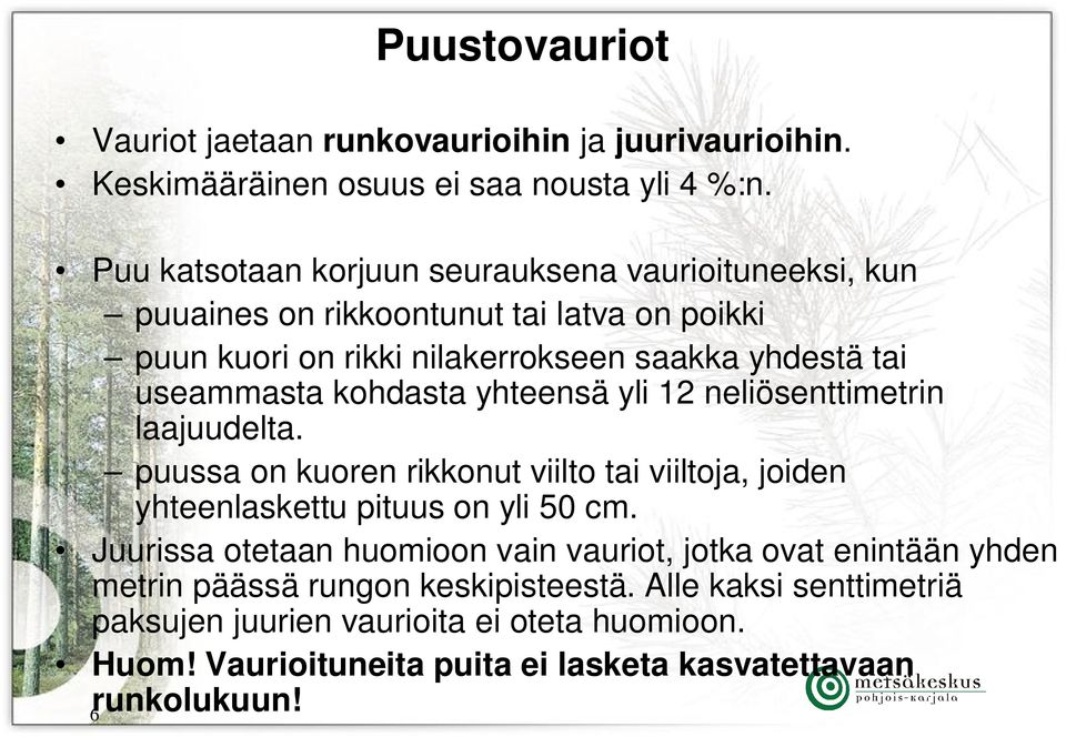 kohdasta yhteensä yli 12 neliösenttimetrin laajuudelta. puussa on kuoren rikkonut viilto tai viiltoja, joiden yhteenlaskettu pituus on yli 50 cm.