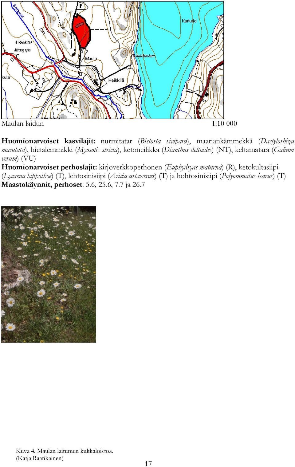 perhoslajit: kirjoverkkoperhonen (Euphydryas maturna) (R), ketokultasiipi (Lycaena hippothoe) (T), lehtosinisiipi (Aricia artaxerces)