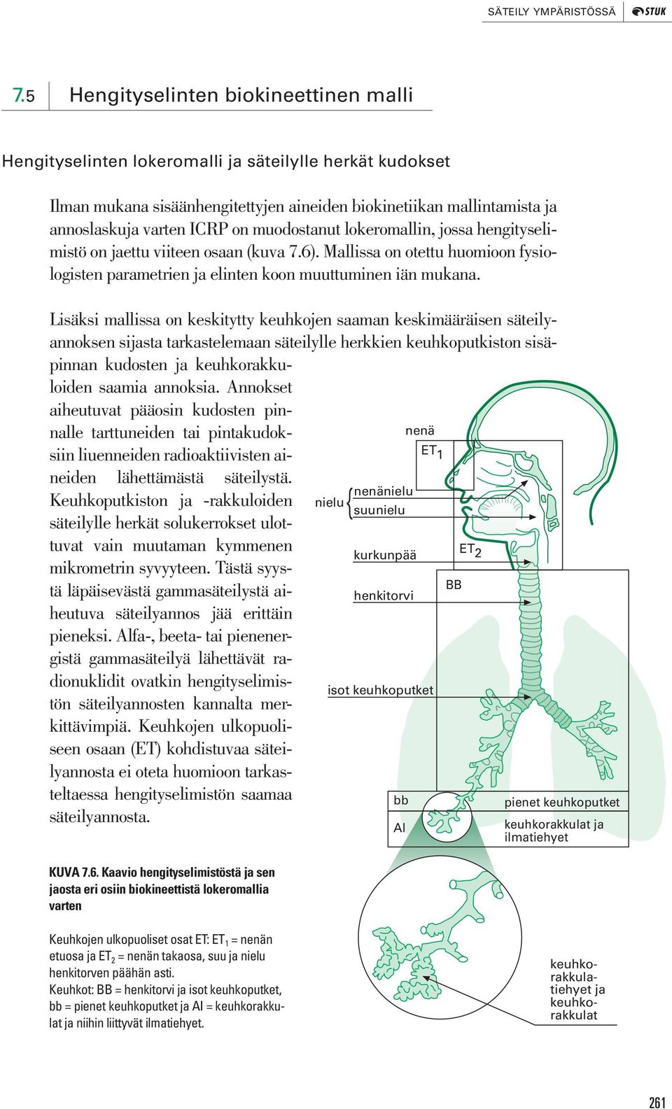 muodostanut lokeromallin, jossa hengityselimistö on jaettu viiteen osaan (kuva 7.6). Mallissa on otettu huomioon fysiologisten parametrien ja elinten koon muuttuminen iän mukana.