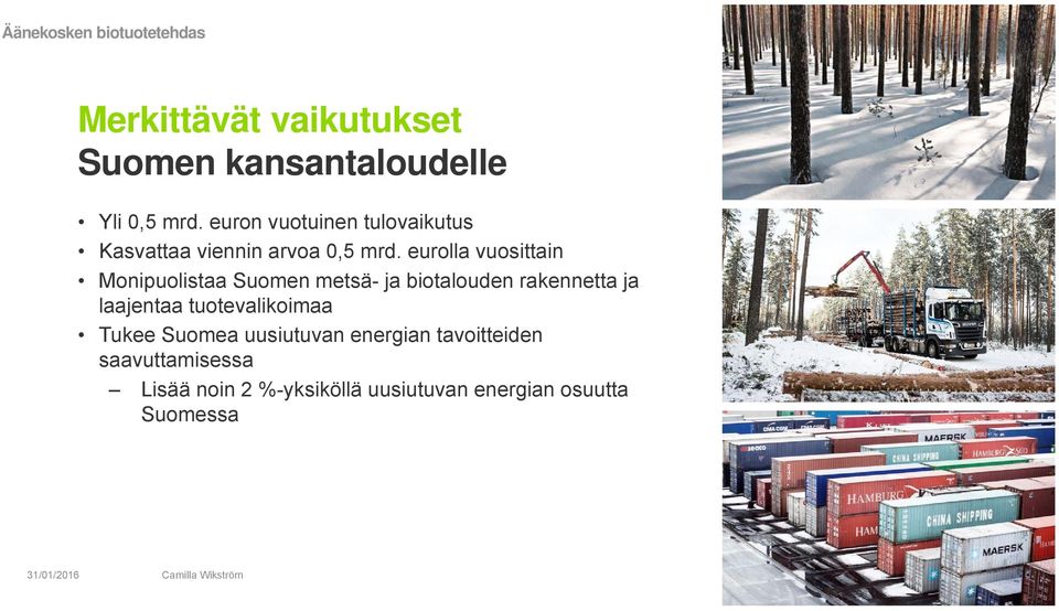 eurolla vuosittain Monipuolistaa Suomen metsä- ja biotalouden rakennetta ja laajentaa