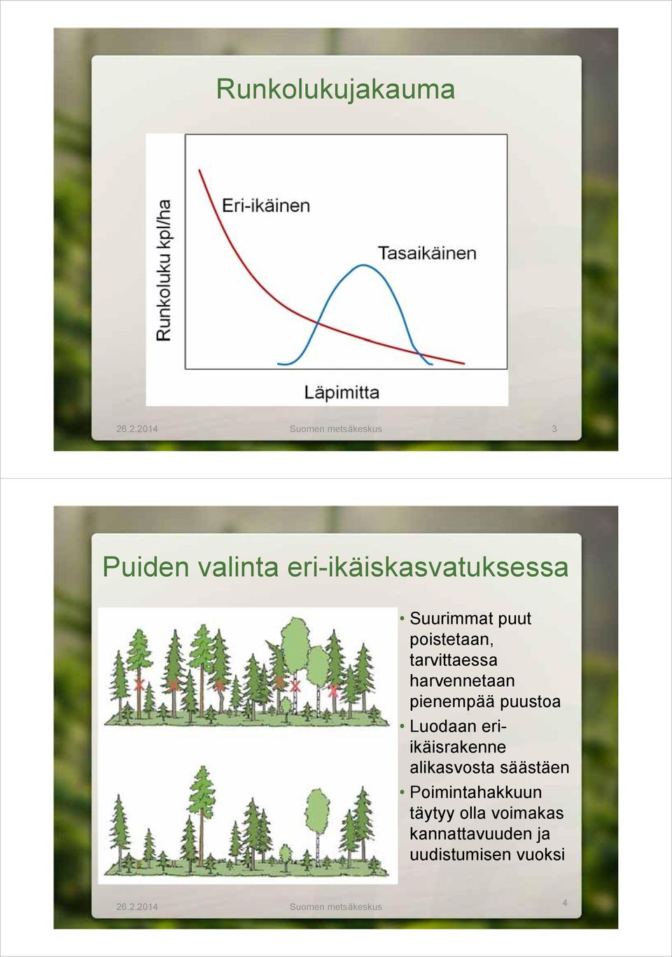 puut poistetaan, tarvittaessa harvennetaan pienempää puustoa Luodaan