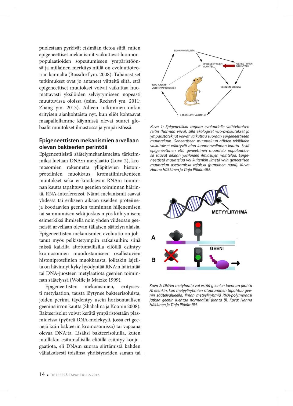 Epigenetiikka haastaa käsityksiämme periytymisestä ja evoluutiosta - PDF  Free Download
